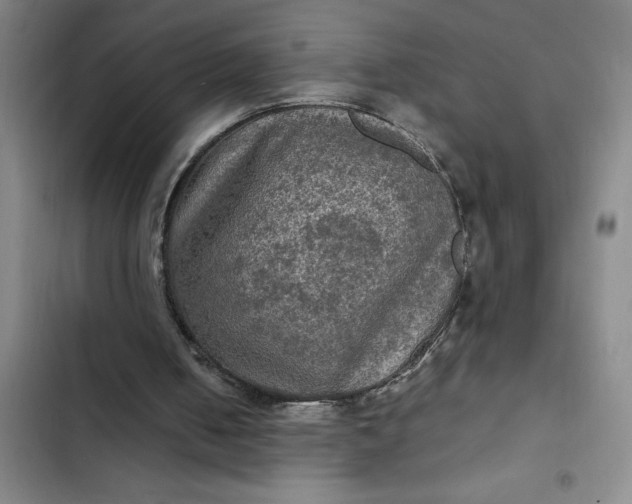 X0000102480050200808221716