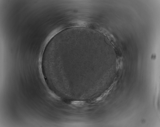 X0000102480051200808221716