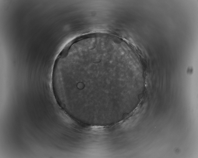 X0000102480052200808221716