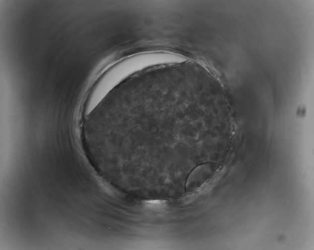 X0000102480053200808221716