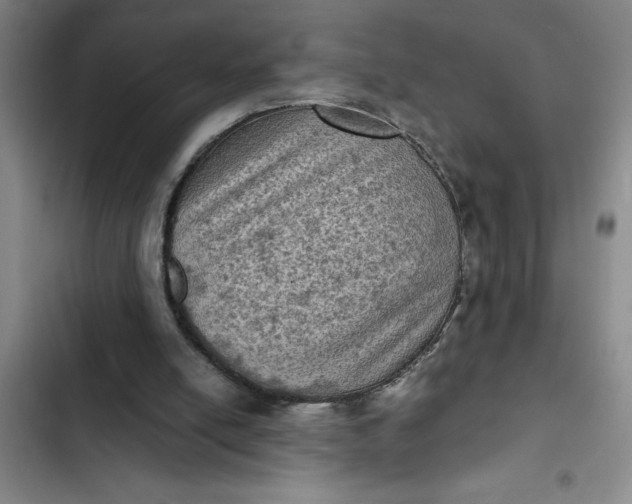 X0000102480054200808221716