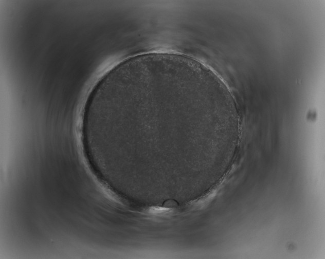 X0000102480055200808221716