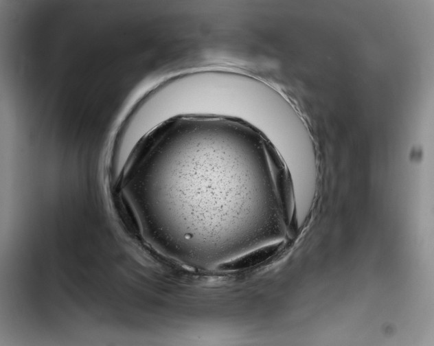 X0000102480056200808221716