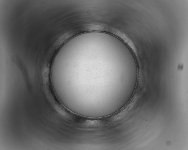 X0000102480057200808221716