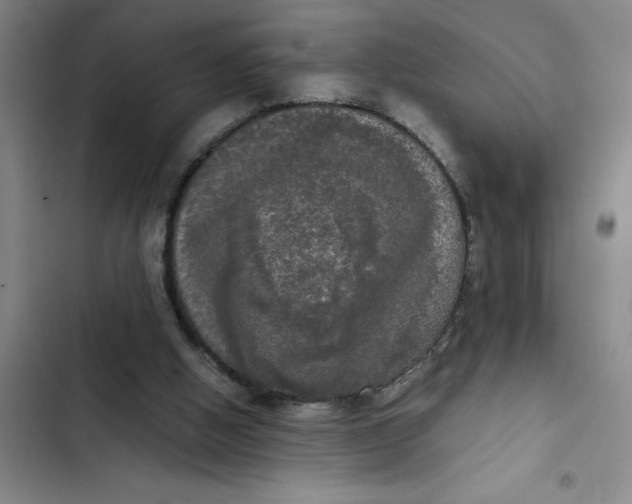 X0000102480058200808221716