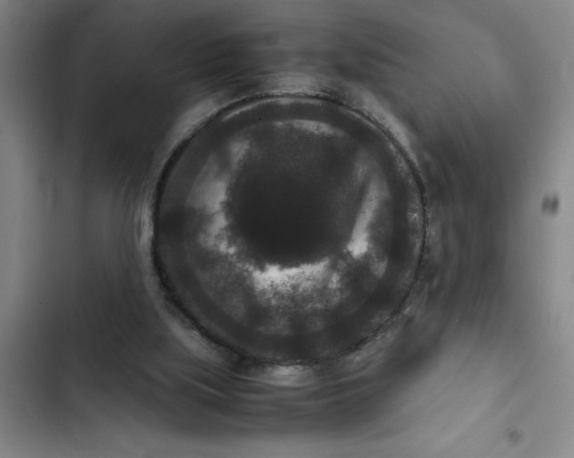 X0000102480059200808221716