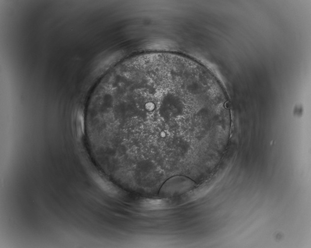 X0000102480061200808221716