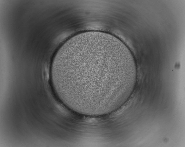 X0000102480062200808221716