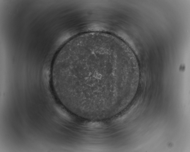 X0000102480063200808221717