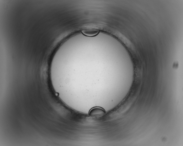 X0000102480064200808221717