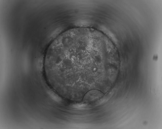 X0000102480065200808221717