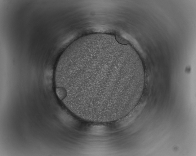 X0000102480066200808221717