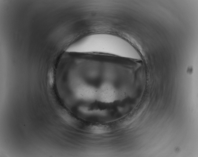 X0000102480069200808221717