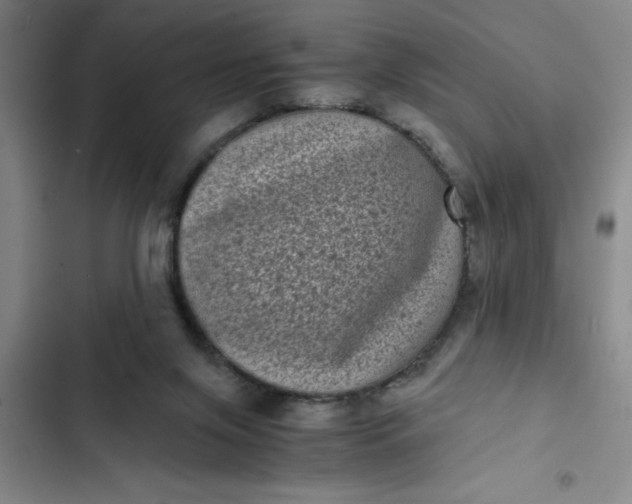 X0000102480071200808221717