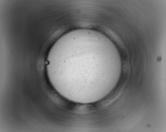 X0000102480072200808221717