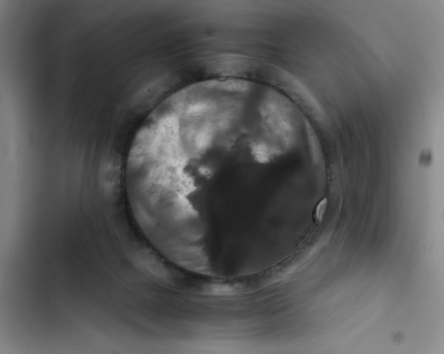 X0000102480073200808221717