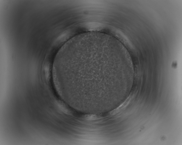 X0000102480074200808221717