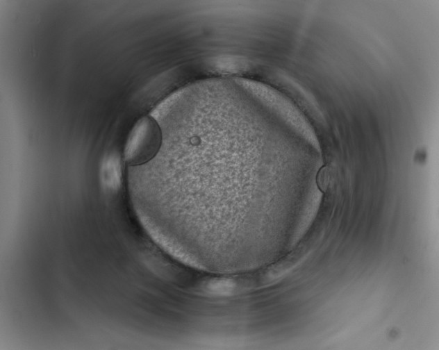 X0000102480075200808221717