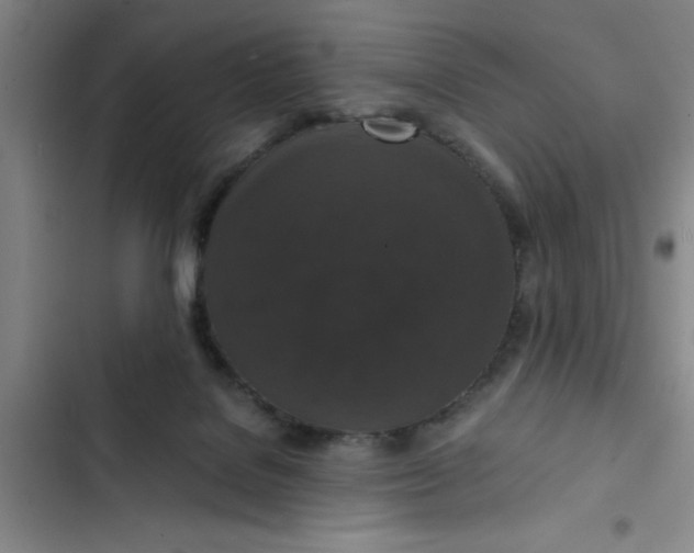 X0000102480076200808221717