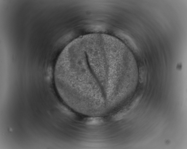 X0000102480077200808221717