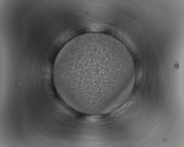 X0000102480078200808221717