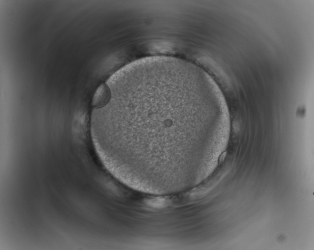 X0000102480079200808221717