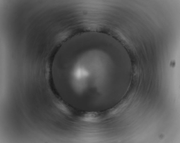 X0000102480080200808221717