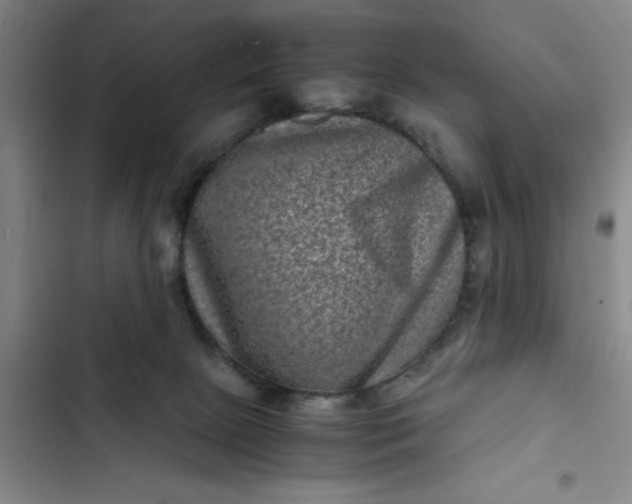 X0000102480081200808221717