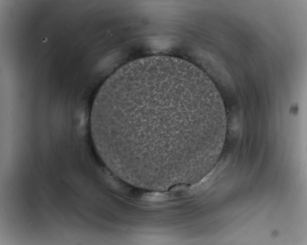 X0000102480082200808221717