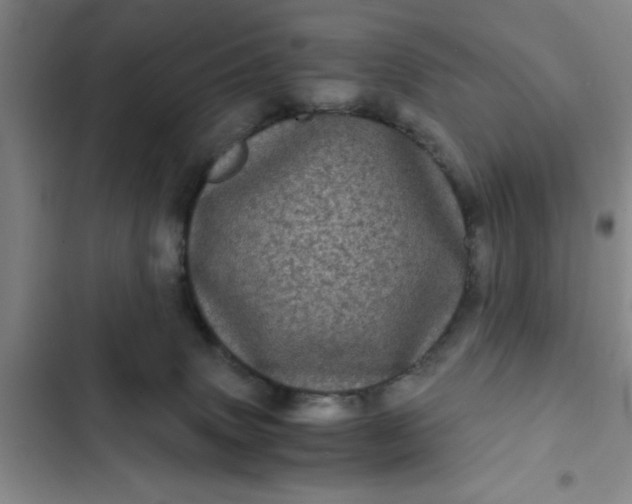 X0000102480083200808221717