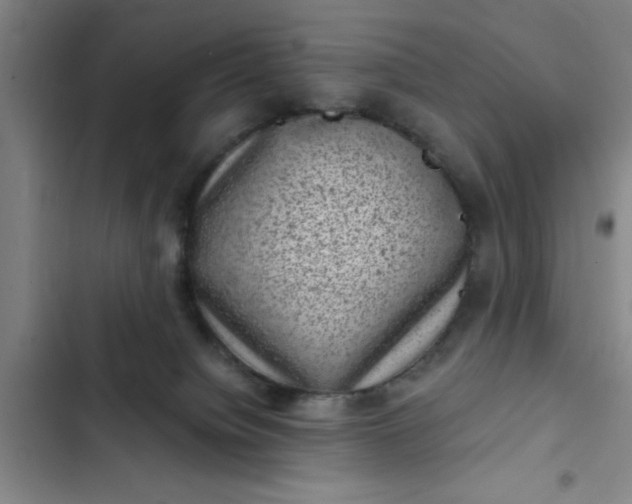 X0000102480084200808221717