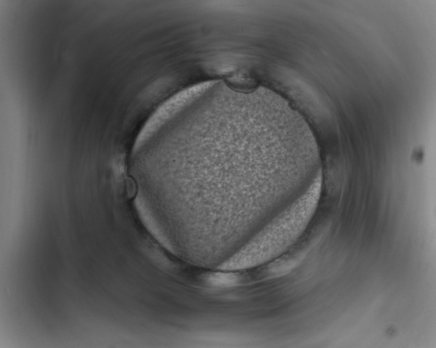 X0000102480085200808221717