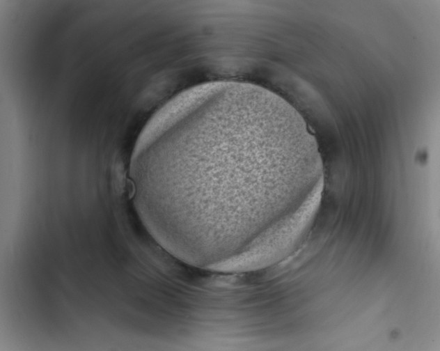 X0000102480086200808221717