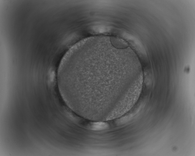 X0000102480087200808221717