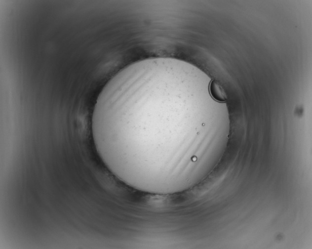 X0000102480088200808221717