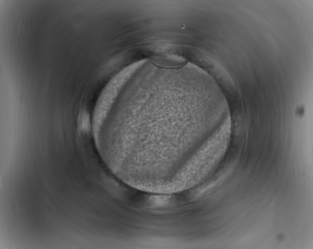 X0000102480089200808221717