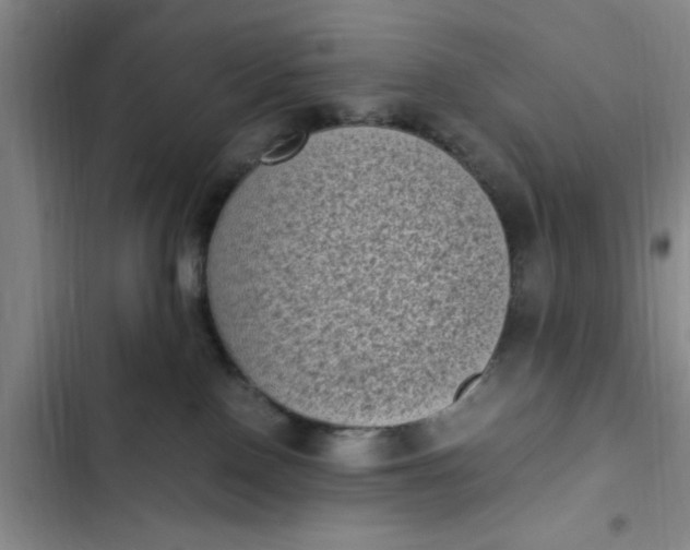 X0000102480090200808221717