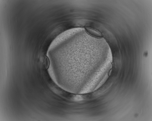 X0000102480091200808221717