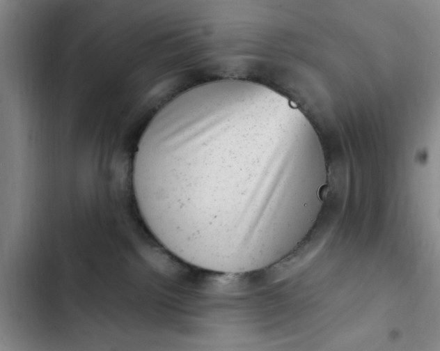 X0000102480092200808221717