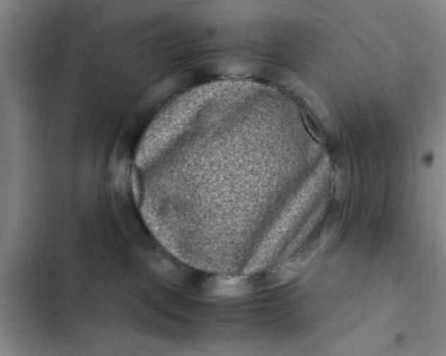 X0000102480093200808221717