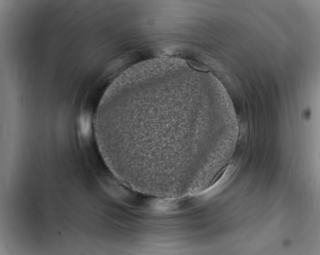 X0000102480094200808221717