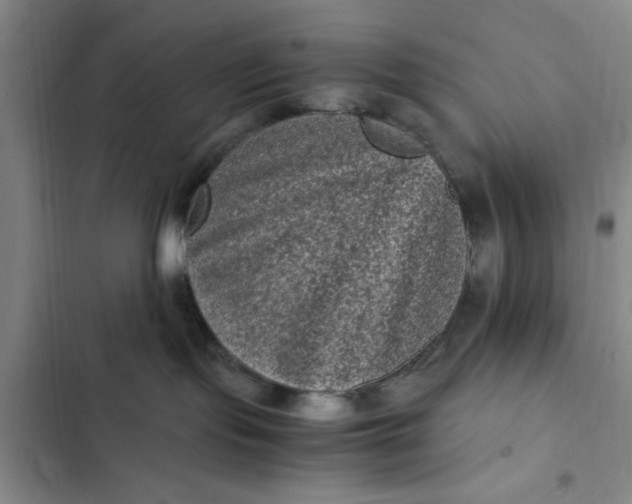 X0000102480095200808221717