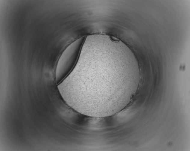 X0000102480096200808221717