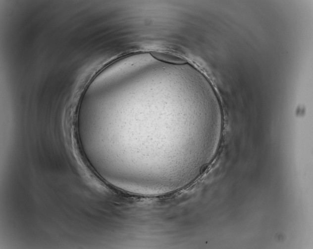 X0000102480097200808221716