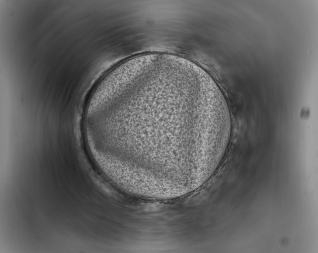 X0000102480098200808221716