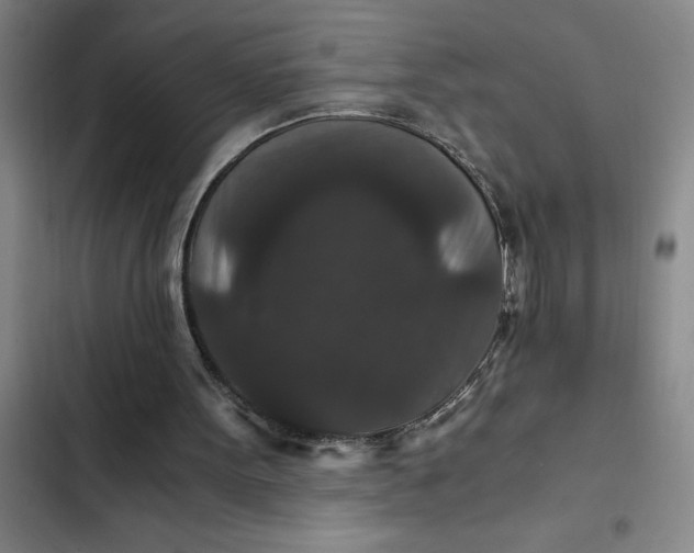 X0000102480099200808221716