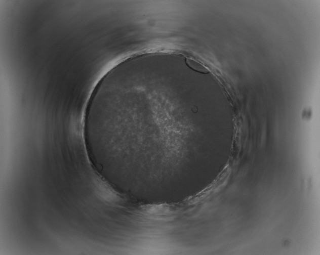 X0000102480100200808221716