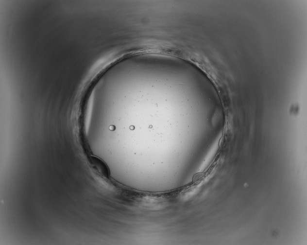 X0000102480101200808221716