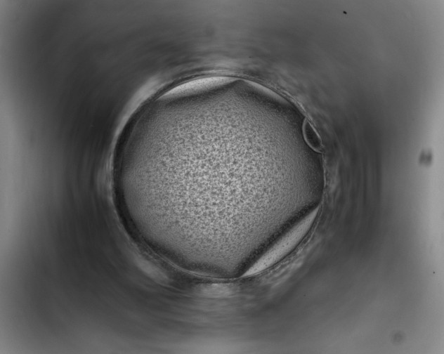 X0000102480102200808221716