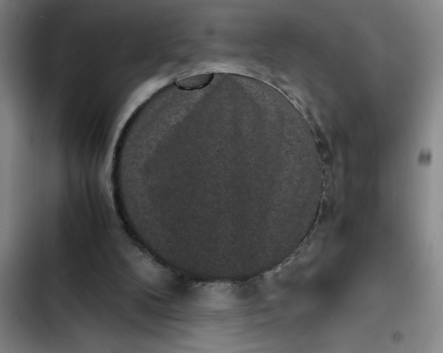 X0000102480104200808221716